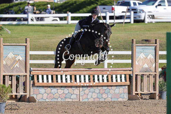 Morton_Vt_Merelsnest_(1214)_20240913_2823