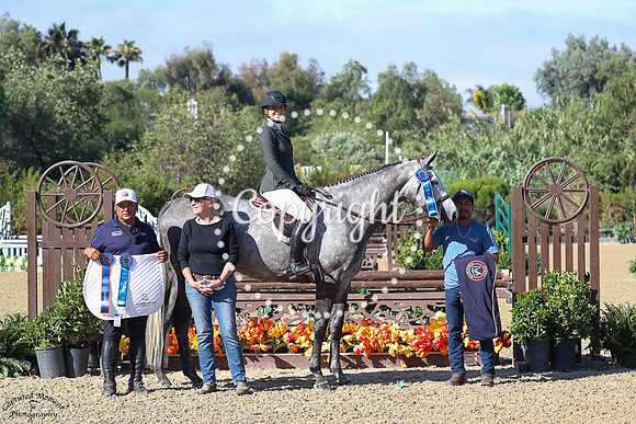 Winter_Park_(951)_20250724_1538