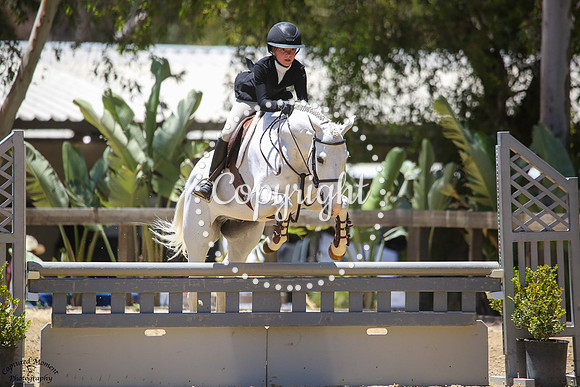 Greymeadows_On_Pointe_(487)_20250530_6165