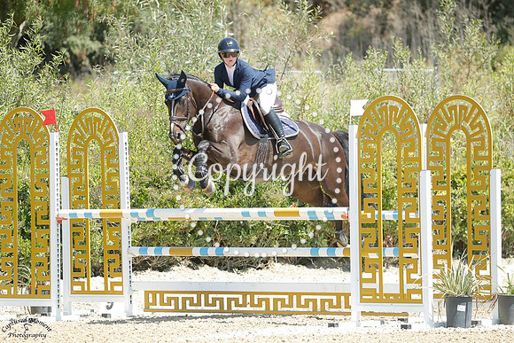 Tashmir_Z_(787)_20250717_0669