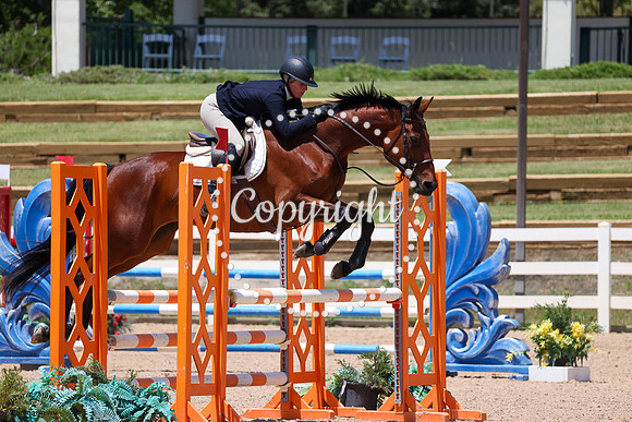 Fiona_(1383)_20250626_3112