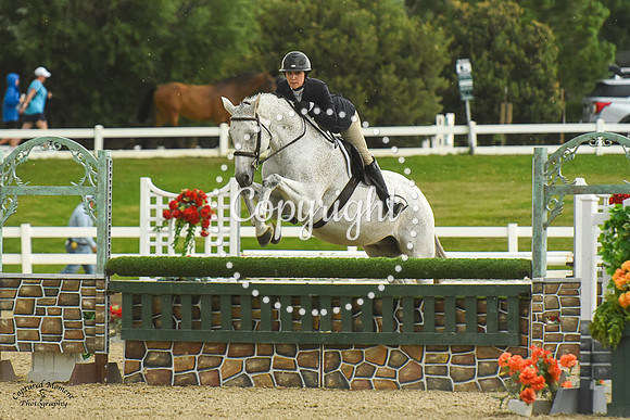 Colour_Diamond_(957)_20230720_2073