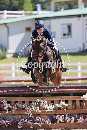 Gunflint_(851)_20230719_0272