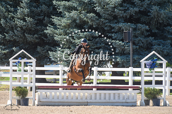 Brookfield_(597)_20230722_2787