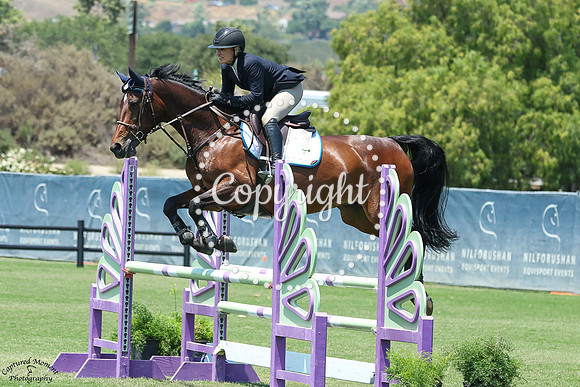 November_Rain_(336)_20250611_5379