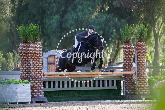 Homer_Vdl_(251)_20241003_3630