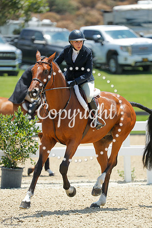 Ocho_(440)_20250718_1981