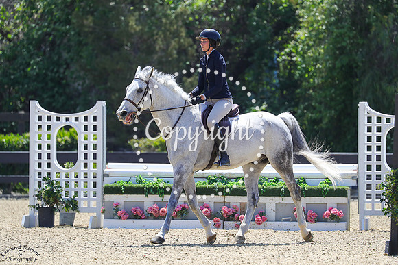 CATO_MINOR_J_(588)_20250507_0796