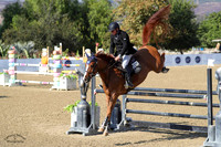 Csi_Van_De_Withoeve_Z_(1177)_20241016_0983