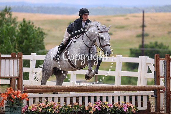 Gandalf_The_Grey_(723)_20250710_3039