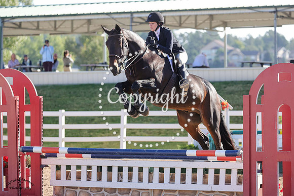 Morton_Vt_Merelsnest_(1214)_20240913_2820