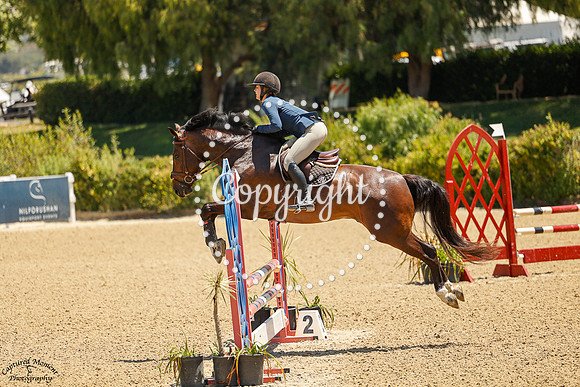 Ghf_Phixin_2_(1329)_20250628_2764