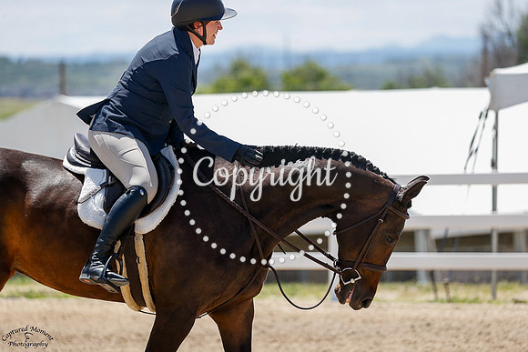 Debutante_(1400)_20250619_2620