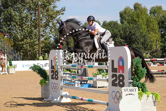 Laconiek_(478)_20241004_3561