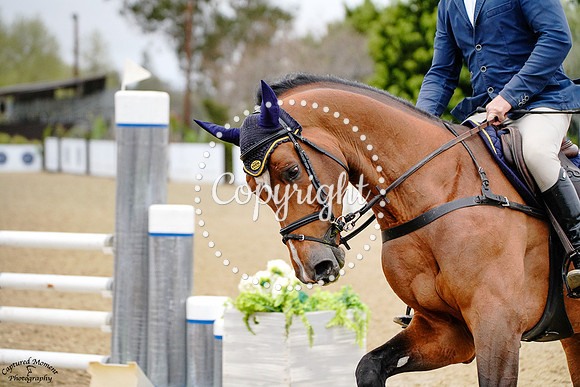 Picobello_S_(465)_20250415_0167