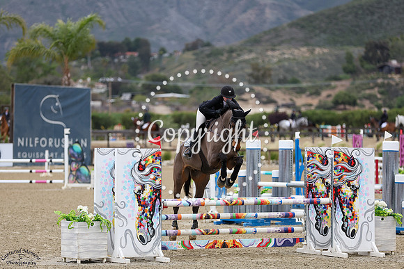 Sanvano_(298)_20250417_0787