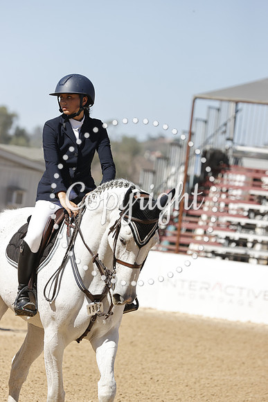 Indiras_Splendor_(1303)_20241020_3933