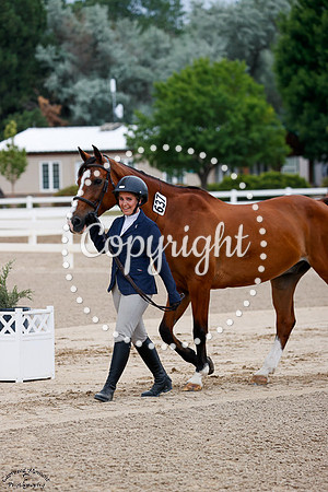 Hot_Spot_(637)_20250716_2388