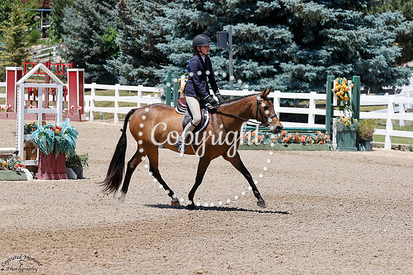 Cherrybrook_Blue_Bobbie_Socks_(1977)_20250622_2293