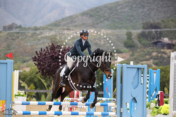 Roulette_Anisette_(453)_20250415_5865