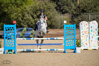 Jaguar_(597)_20241010_5440
