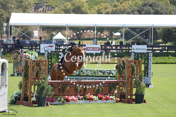 Tamarindo_(262)_20250716_0787