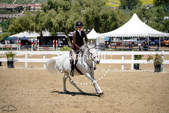 SUGARBROOK_ADORABELLE_(507)_20250508_2266