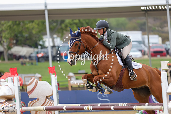 Bipper_Du_Libaire_(302)_20250613_3796