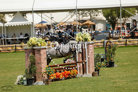 Cordolina_(774)_20250620_5537