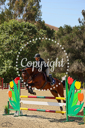 The_Cardo_(1431)_20250626_2815