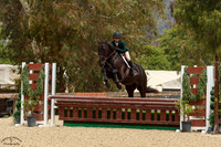 Noble_Hacienda_Z_(721)_20250425_3370