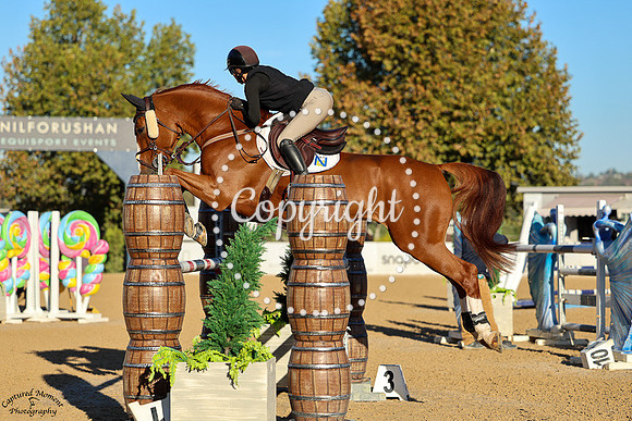 Mighty_King_Skh_(1078)_20241011_3106