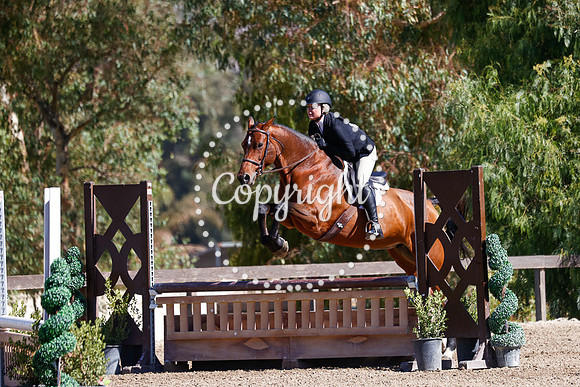 Femarilla_(1081)_20241011_8055