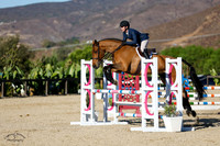 Koddac_Van_Het_Indihof_(594)_20241012_0342