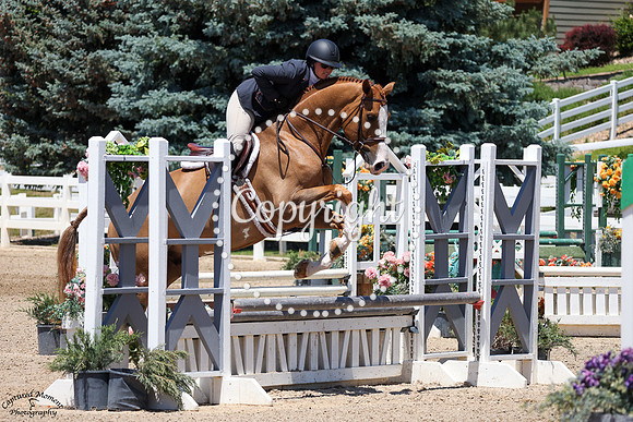 Glasgow_(1199)_20250620_2065