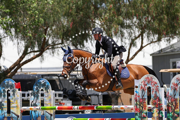 No_Feardi_(499)_20250514_0928