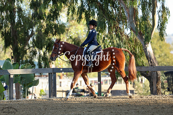 Butterscotch_(1354)_20241019_0908