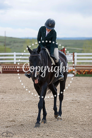 Westport_(397)_20250517_1999