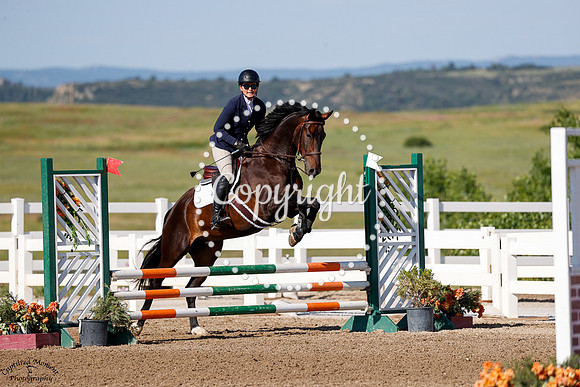 Ws_Fortnite_(902)_20250627_1951