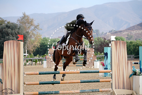 Grandorado_Surprise_(622)_20241016_0717
