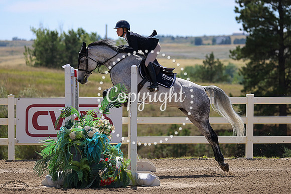 Calido_Starlight_(1035)_20240912_0055