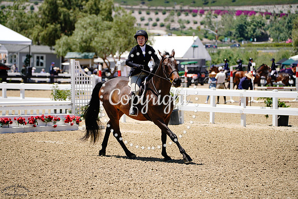 EWSZ_CASTRO_(194)_20250508_2535