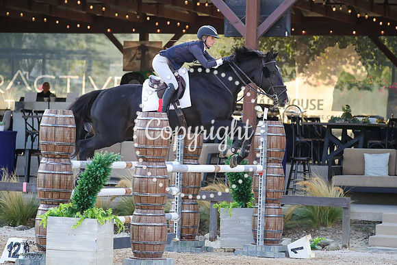 Checkered_Past_(575)_20241004_2767