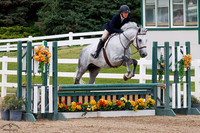 Gandalf_The_Grey_(723)_20250716_1667