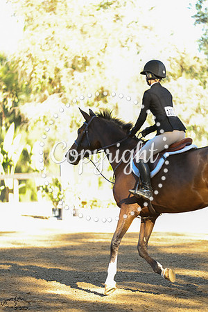 Avita_(1202)_20241009_0577