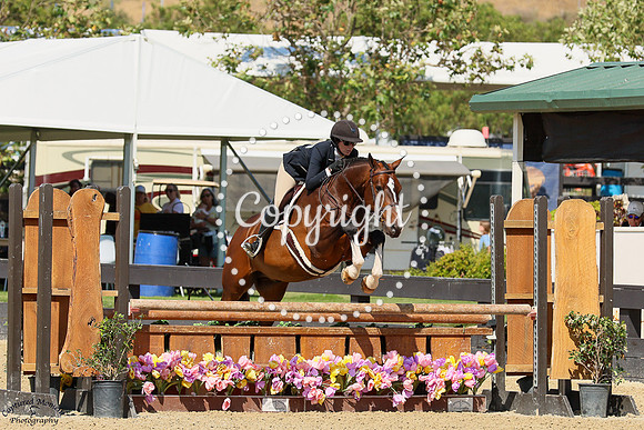 Good_Tidings_(554)_20250612_2001