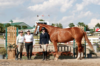 Silver_Creeks_Enola_(778)_20250712_4768