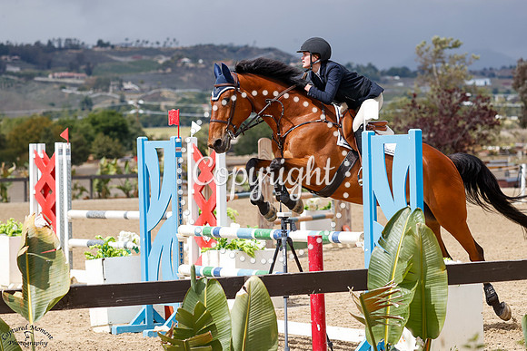 Crystall_Ii_Z_(892)_20250426_5612
