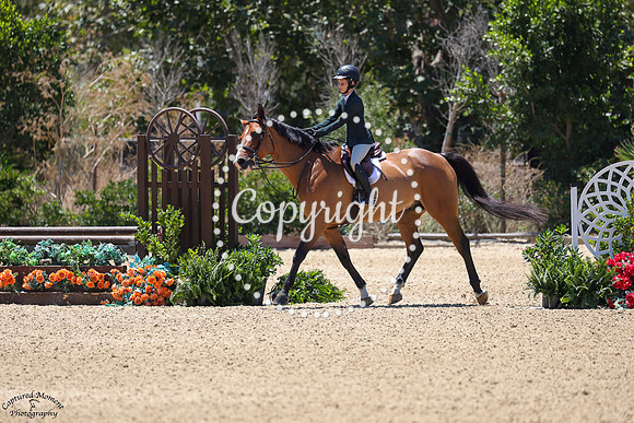 Piccolaz_Psh_(1319)_20250723_2100