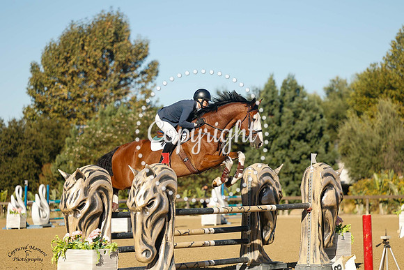 Moonface_(629)_20241010_0251